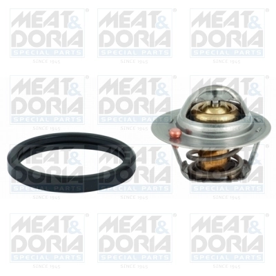 Thermostat, coolant